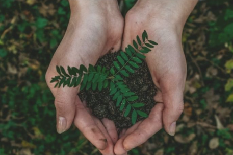 Melepas Kemelekatan, Bersedia Diperbarui – 01 Maret 2026