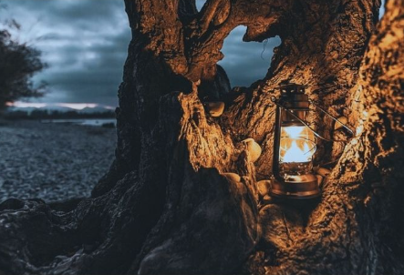 Bukan Yang Tampak, Melainkan Dampak – 8 Februari 2026