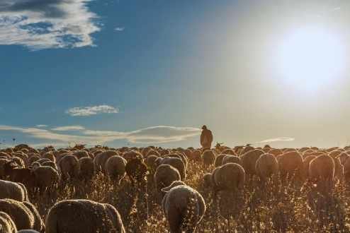 Hidup Berkelimpahan Dalam Kristus – 26 April 2026