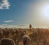 Hidup Berkelimpahan Dalam Kristus – 26 April 2026