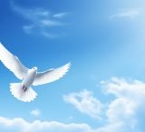 Kebenaran Yang Membebaskan – 11 Januari 2026