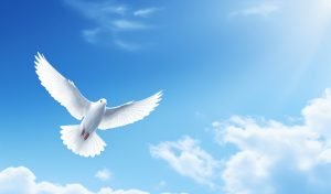 Warta 11 Januari 2026