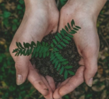 Melepas Kemelekatan, Bersedia Diperbarui – 01 Maret 2026