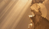 ss_15-feb-2026