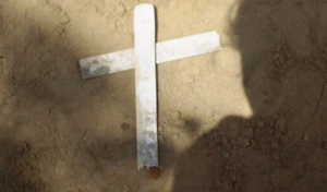 Warta 25 Januari 2025